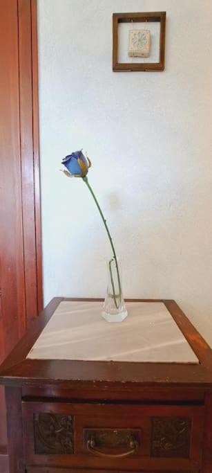 Odeonhouse - Catania - Parking Included Apartment Екстериор снимка